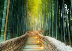 Bamboo: Endless Versatility