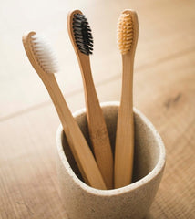 Bamboo Toothbrushes