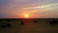 The great Indian Thar Desert: