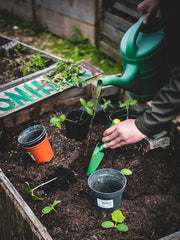 Practice Sustainable Gardening