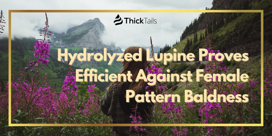 Hydrolyzed Lupine Proves Efficient Against Female Pattern Baldness | ThickTails