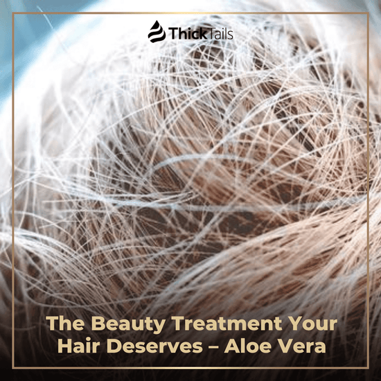 The Beauty Treatment Your Hair Deserves – Aloe Vera | ThickTails