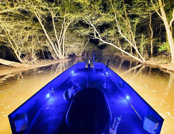 Bowfishing at night