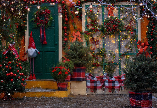 Christmas Decorated House