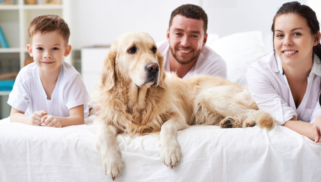 family on bed image