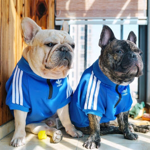 adidas french bulldog hoodie