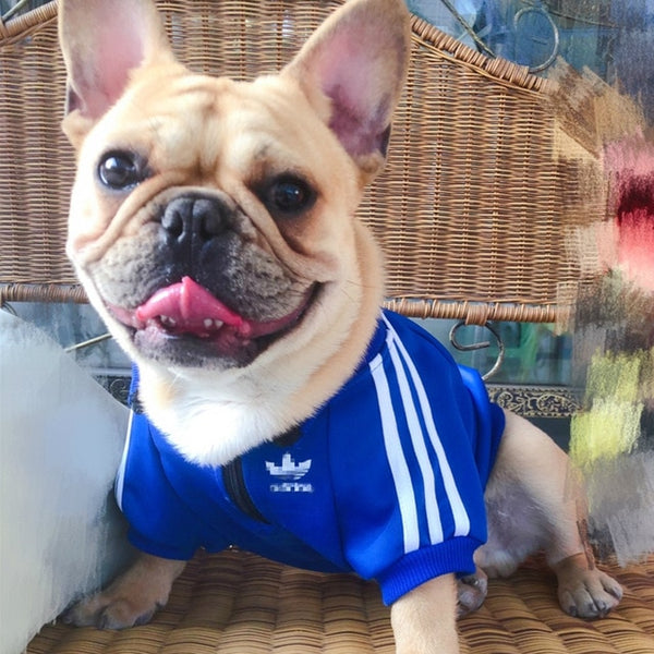 adidas dog jacket