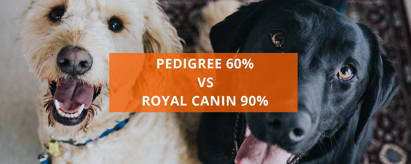 what is the difference between pedigree and non pedigree dogs