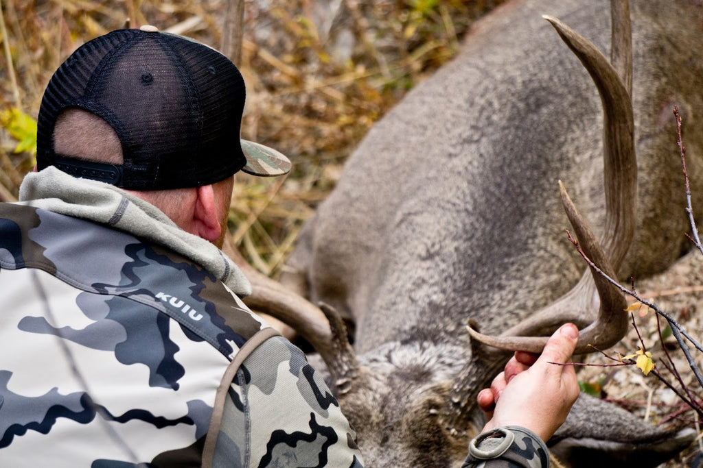 Big Mule Deer Buck from Idaho