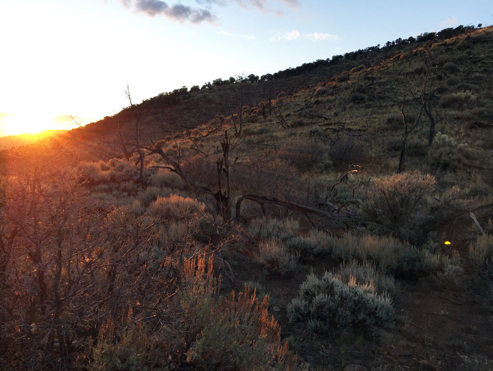 Colorado Hunting Sunset