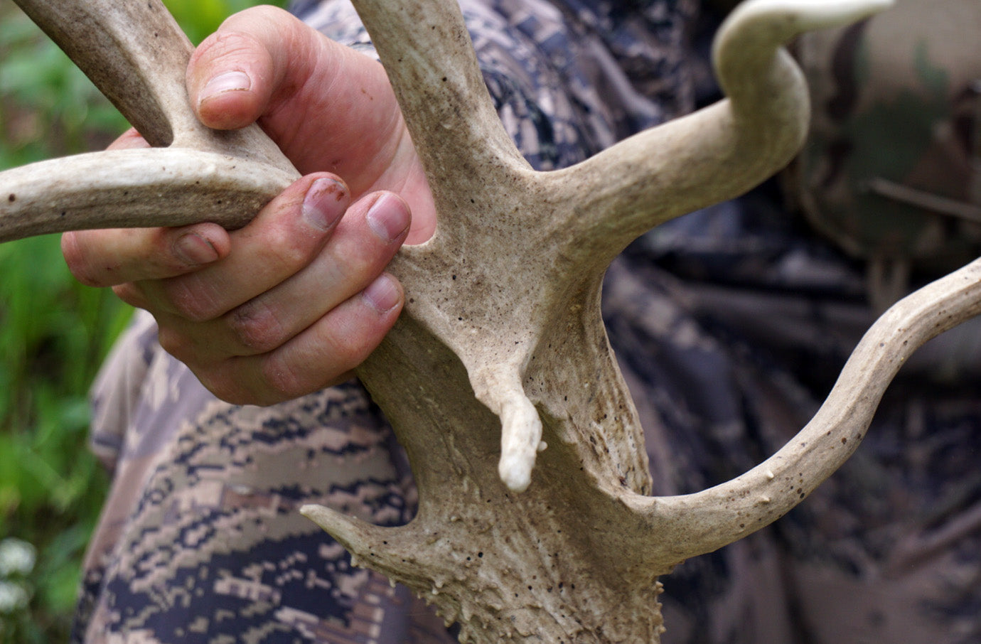 Backcountry Mule Deer found 10 months later