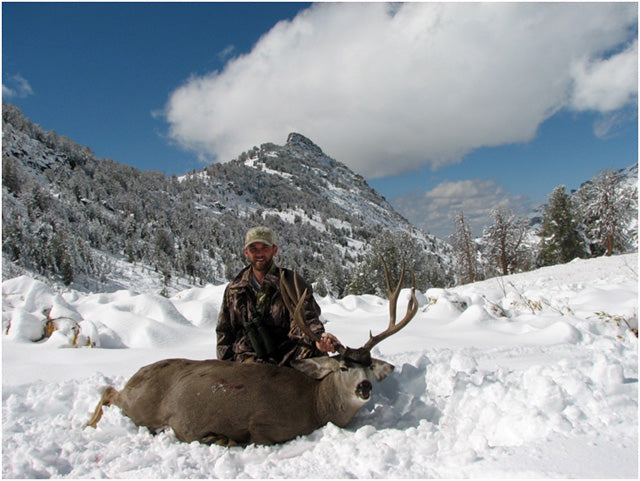 Mule Deer Kyle Paxman 1