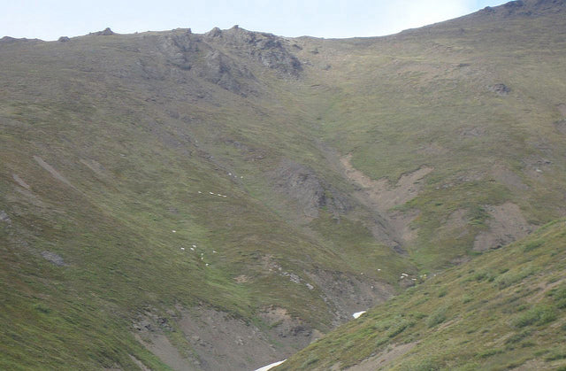 All the little white spots are the ewes and lambs dotting the hillside