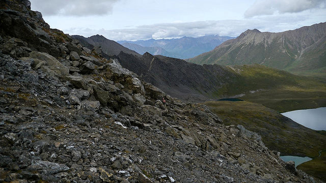 Me hiding in the rocks....can you see me?  Prois is amazing!