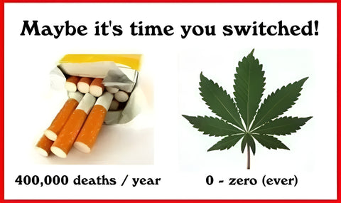 Tobacco vs Cannabis. Average deaths per year.