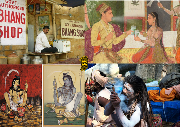 Cannabis in India, bhaang, bhang, shiva and cannabis plant