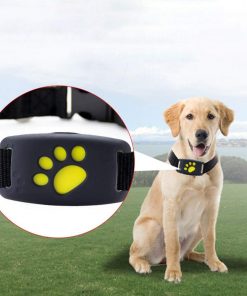 gps dog collar