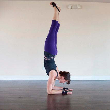 Pincha Mayurasana (Peacock Feather Pose) - YogaPaws