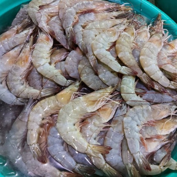 Fresh Shrimp (Suahe) medium size order price / kilo Farm2Metro
