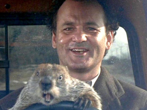 Bill Murray Quotes - Groundhog Day - I Was In The Virgin Islands Once
