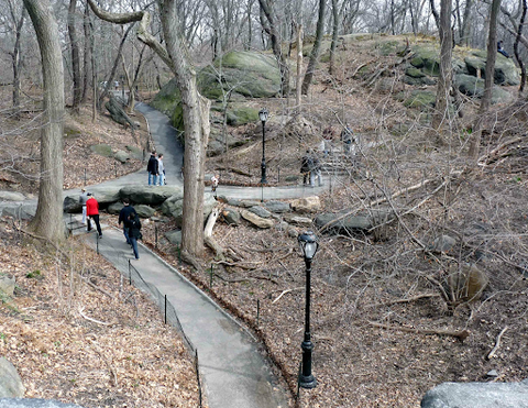 The Ramble in Central Park