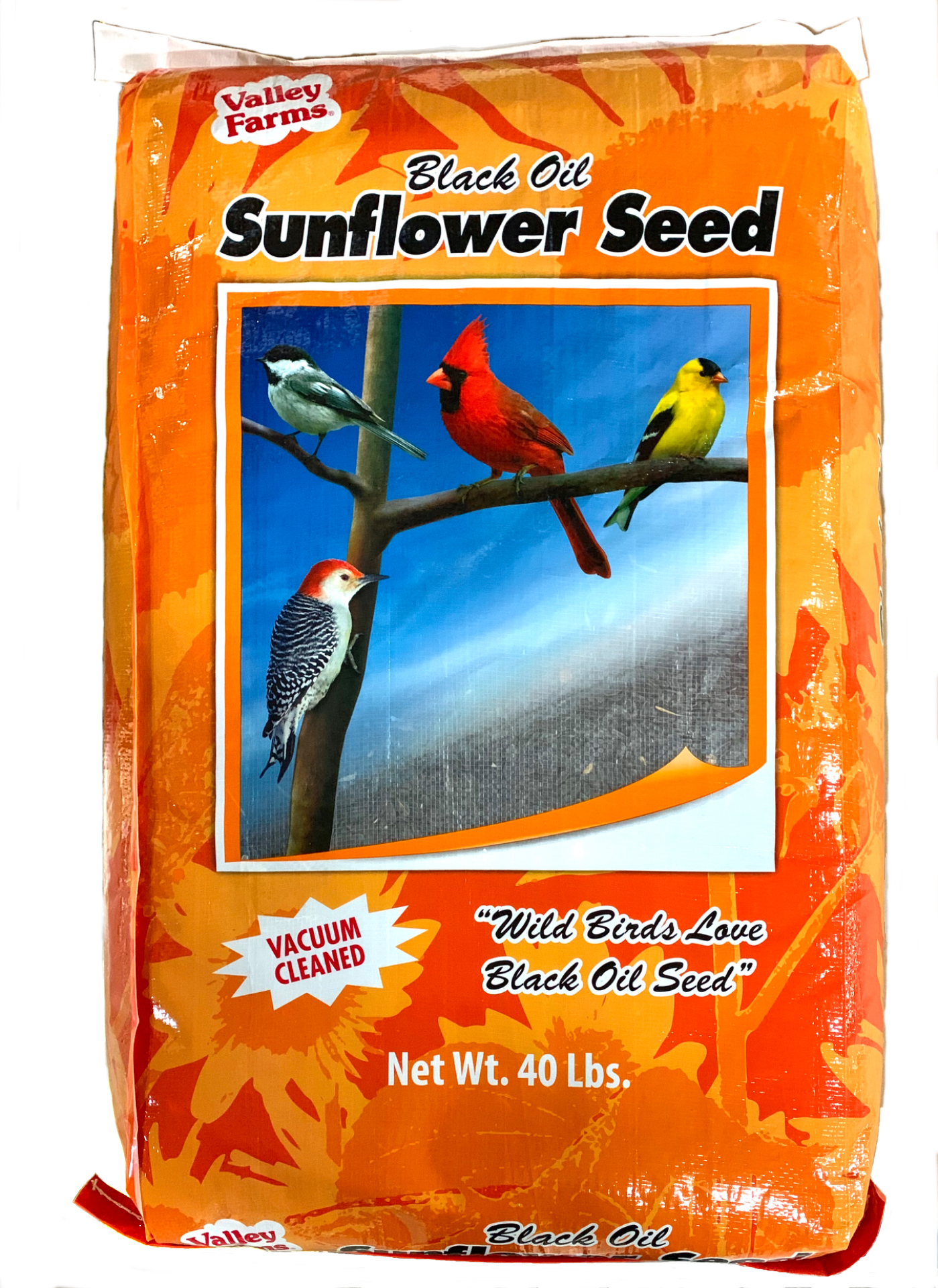 black oil sunflower seed 40 lbs