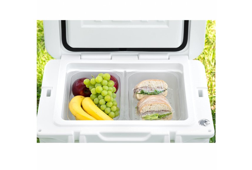 BEAST COOLER ACCESSORIES 2-Pack Green Lid Latches Compatible With Yeti &  RTIC, 0.06 H 11.81 L 13.78 W - Fry's Food Stores