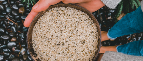 Organic Hemp Seeds