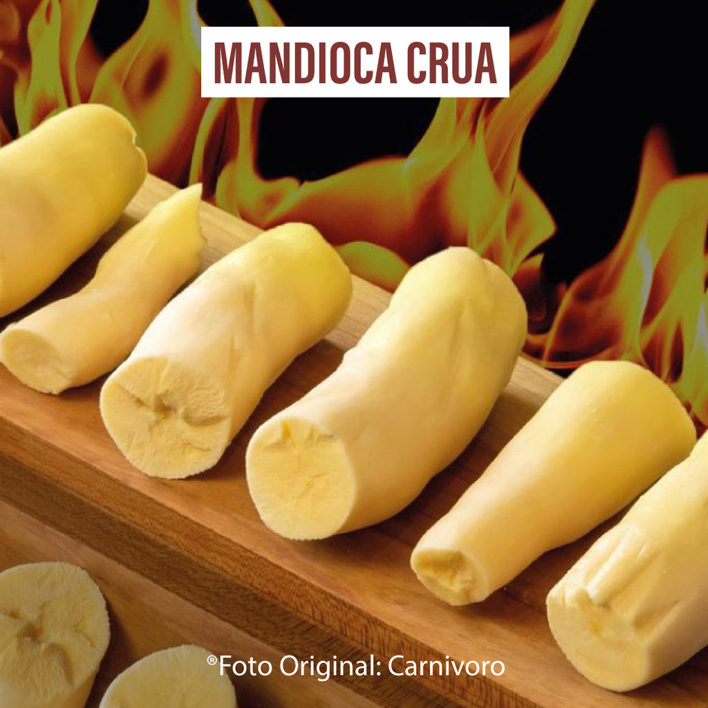 公式直営店翌日発送 キャッサバの苗50本、mandioca,yucca namaste