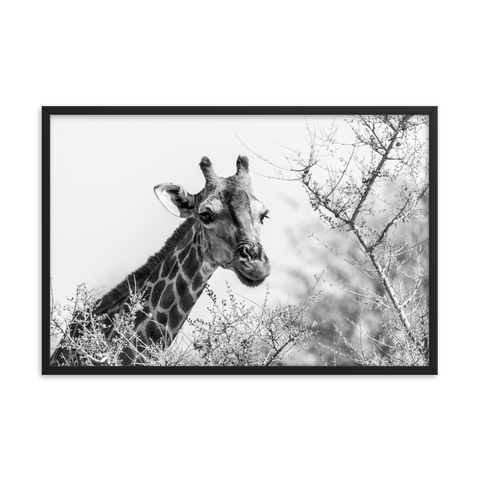 Tableau Déco Africain Girafe Noir et Blanc