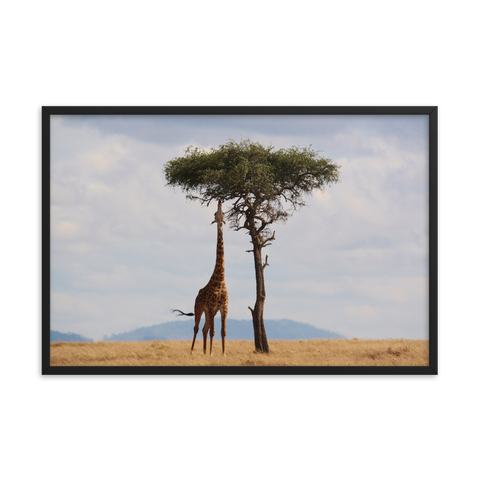 tableau déco avec girafe 