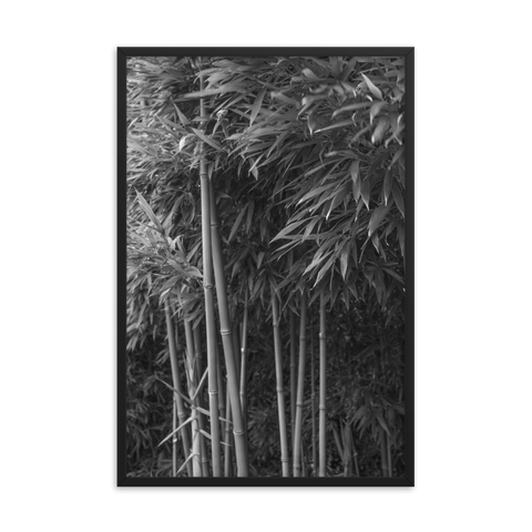 Tableau Déco Bambou Noir et Blanc