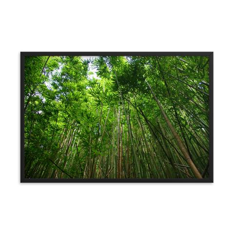 Tableau Déco Bambou dans le Vent