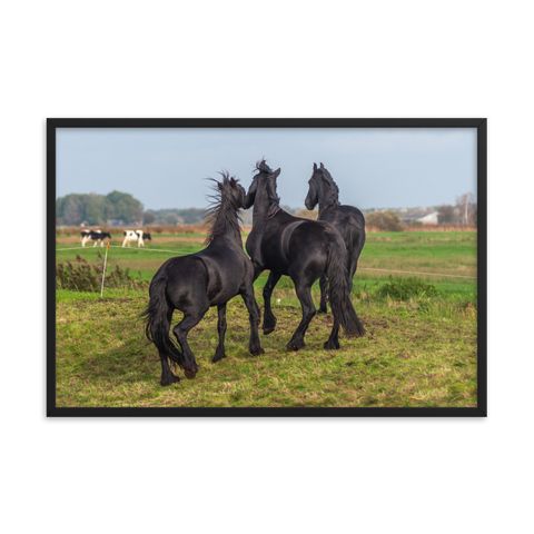 Tableau Déco Cheval Noir