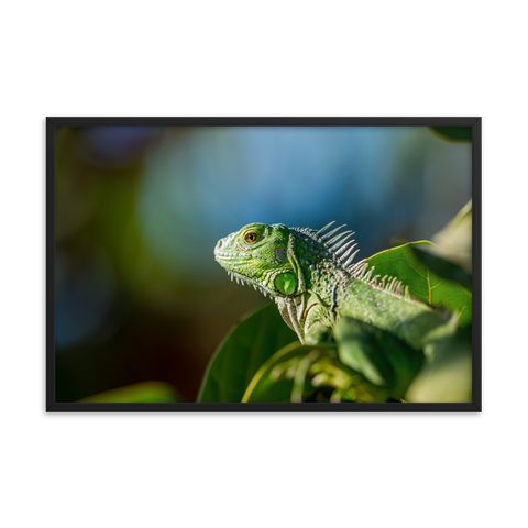 Tableau Design Deco Tropical Iguane