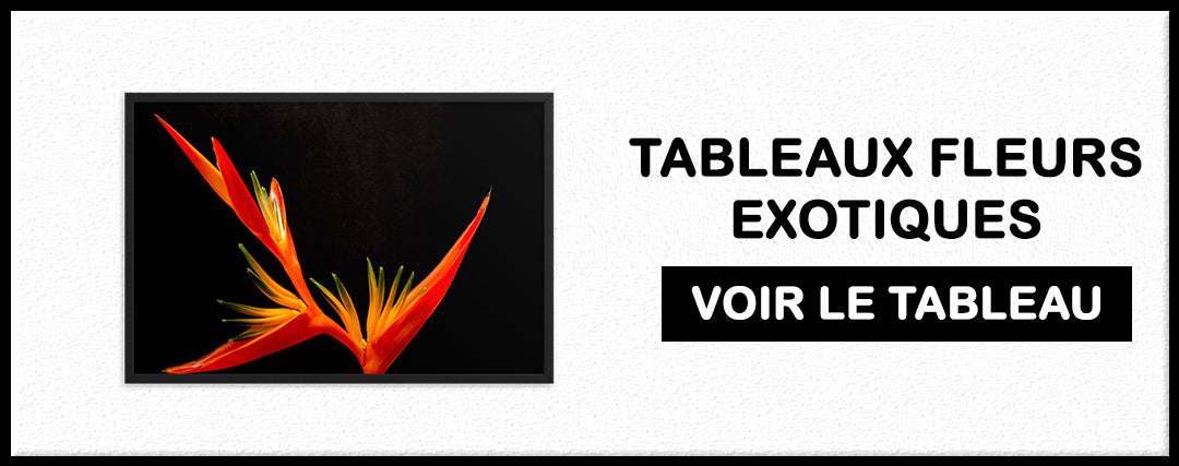 tableau pour bureau professionnel 