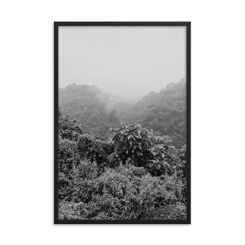Tableau Déco Forêt Noir et Blanc (Pérou)