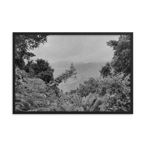Tableau Déco Jungle Noir et Blanc (Colombie)