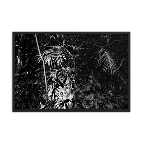 Tableau Déco Jungle Noir et Blanc Feuillage