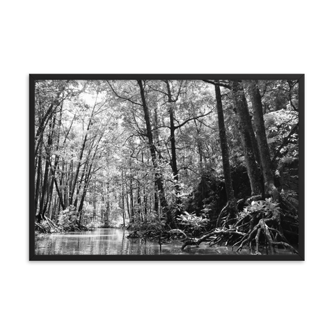 Tableau Déco Jungle Noir et Blanc Mangrove