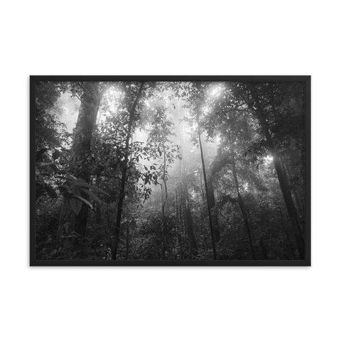 Tableau Déco Jungle Noir et Blanc la Clairière