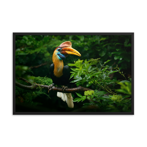 Tableau Déco Jungle Oiseau Mystérieux