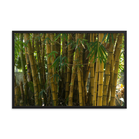 Tableau Déco Toile Bambou