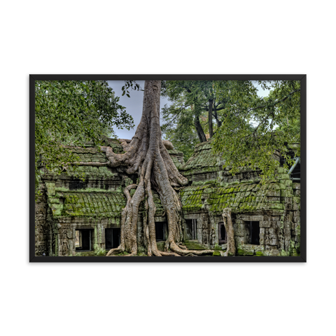 Tableau Déco Tropical (Angkor)