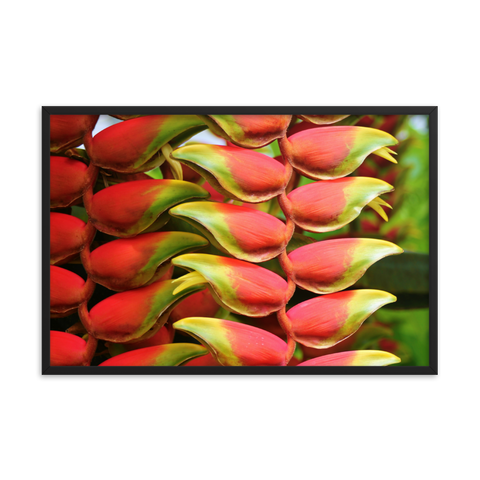 Tableau Déco Tropical Heliconia