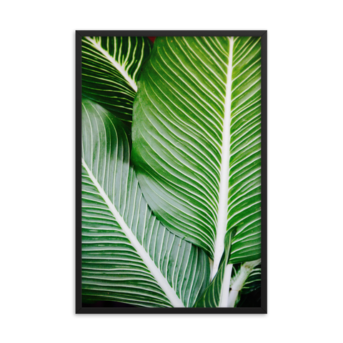 Tableau Tropical Palm