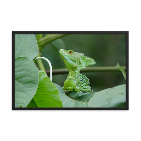 Tableau Déco Tropical le Caméléon