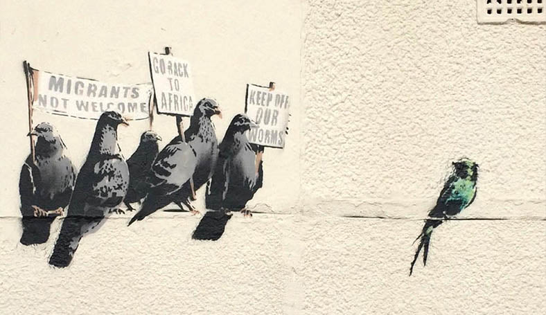 banksy pigeons