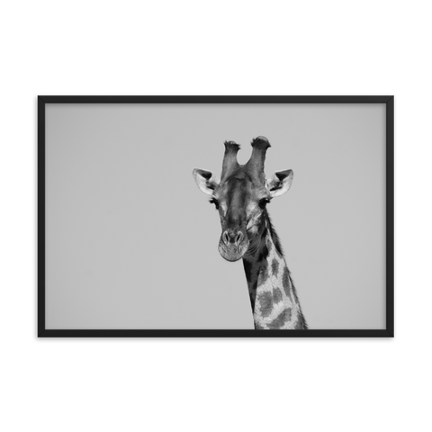 Tableau Déco Girafe Noir et Blanc (Safari)