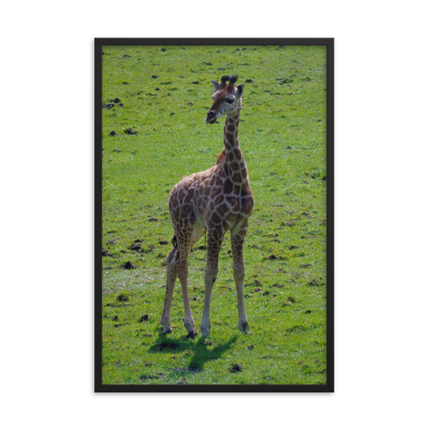 Tableau Déco Girafe Bébé Perdue
